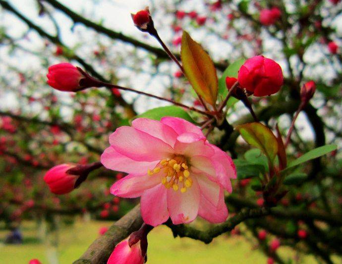 4月18號起逢8必發，吉星庇佑，橫財頻發，富貴翻番漲的6大生肖！