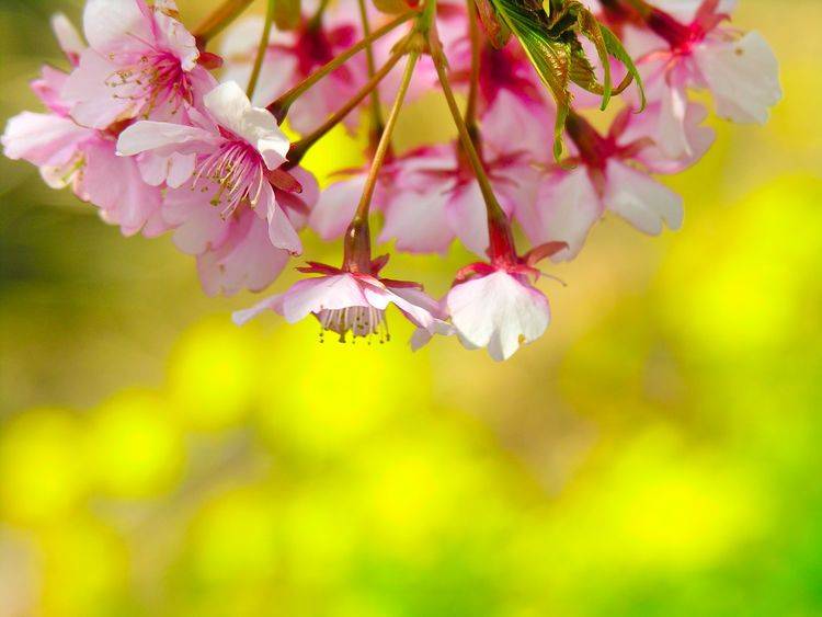 4月18號起逢8必發，吉星庇佑，橫財頻發，富貴翻番漲的6大生肖！