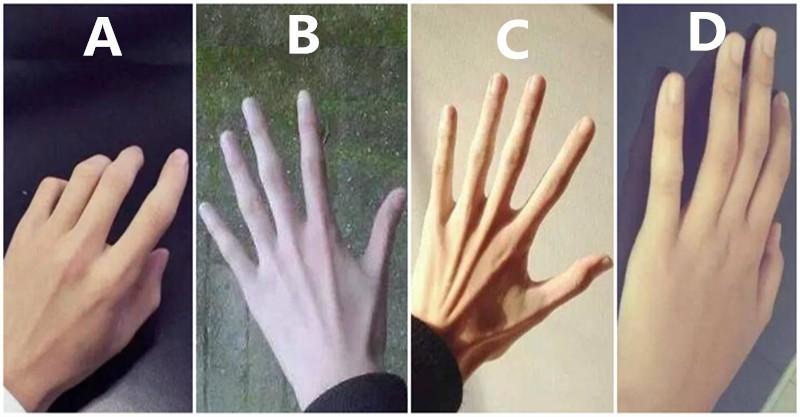  心理測試：以下4隻手，從中選一隻，測你是貧窮命還是富貴命