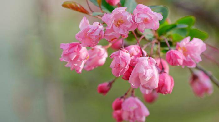 4月18、19號起好運到，來福來喜又來財，終成有錢人的6大生肖！