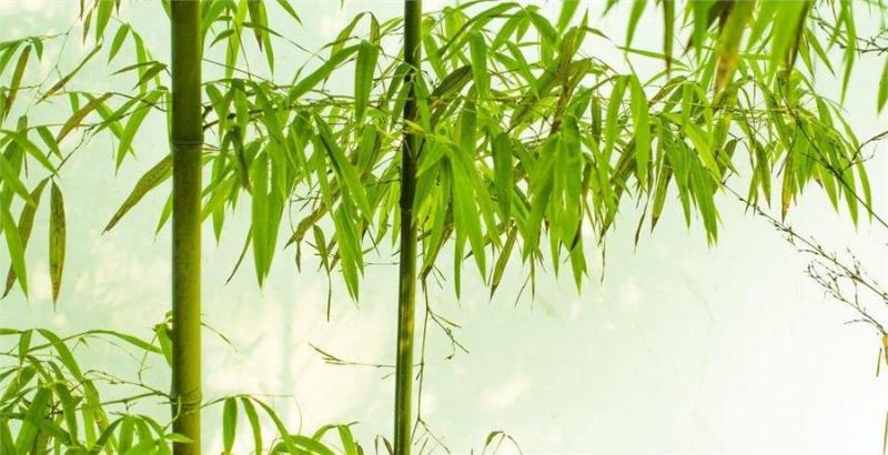 家門口地墊下放上十粒米，不出一周，老公就賺大錢了！