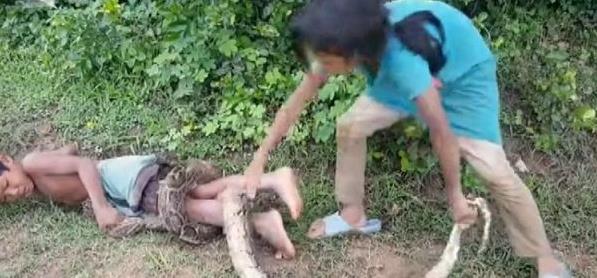 姐姐用8歲弟弟身體做誘餌捕蛇，瞭解過程後，卻讓所有人背後發涼