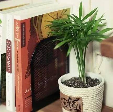 優酪乳盒屯起來，用剪子剪一刀，家裡瞬間多出9樣神器，全家人都用得上，太厲害了