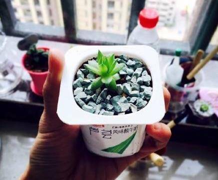 優酪乳盒屯起來，用剪子剪一刀，家裡瞬間多出9樣神器，全家人都用得上，太厲害了