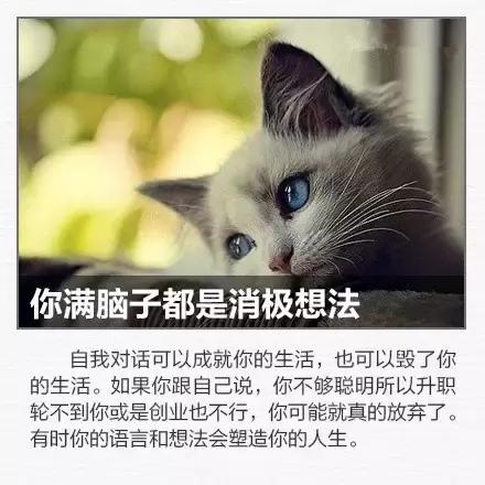 12個最浪費生命的習慣