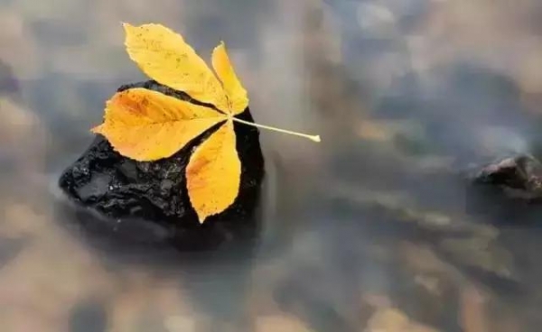 人到中年，要學會無情一點！（說的太現實了）