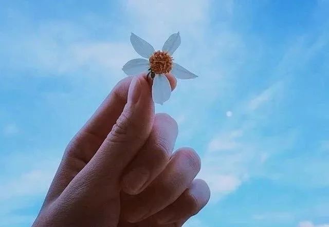 人不爭，事不比，心不求