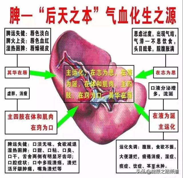 專家說：脾胃虛不虛？掐掐這裡就知道？