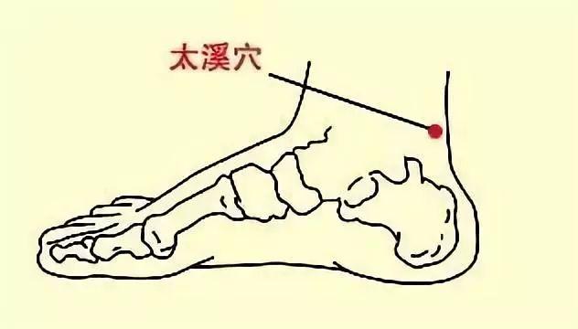 女性每次經期後都是排毒，抗衰的好機會（食療法參考）