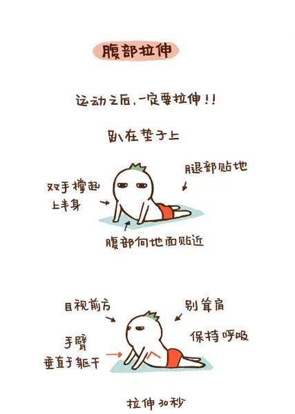想減肚子的，每天拍地100下，加快瘦肚子，比卷腹還要好