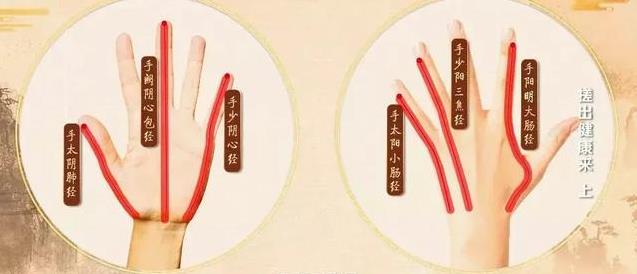 每天搓手3分鐘，養氣血、通經絡、調五臟，血液循環全暢通，肝臟也越來越好了