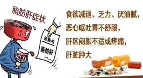 脂肪肝，膳食營養要從這五方面調整