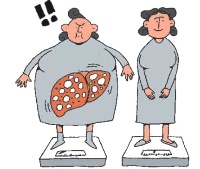 脂肪肝，膳食營養要從這五方面調整