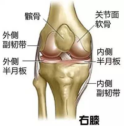 10分鐘膝蓋復健法，簡單幾個小動作，在家就能完成，讓膝關節回春，不再疼痛