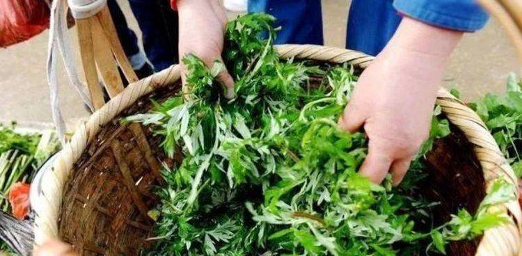 掀開床墊湧出上萬蟎蟲？教你一招，不用開水燙不用太陽曬，也能輕鬆去蟎蟲