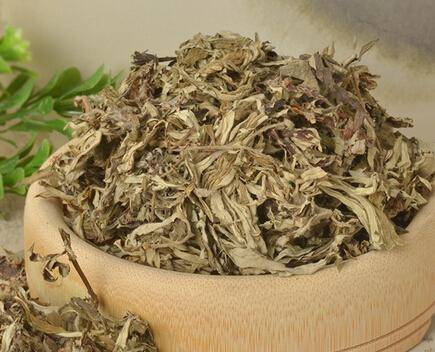 掀開床墊湧出上萬蟎蟲？教你一招，不用開水燙不用太陽曬，也能輕鬆去蟎蟲