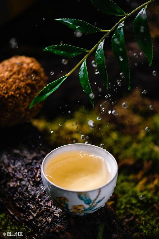 盆景養護十年功，瞭解樹性!澆水——最難精通的「基本功」！