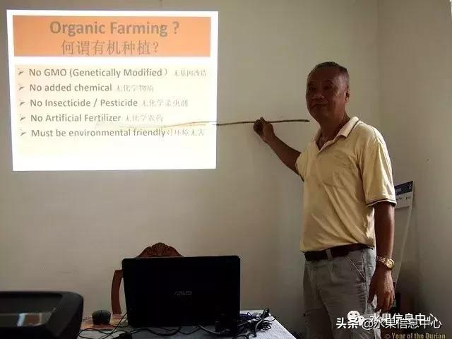 百年難得一見的有機榴槤果園，一次吃個夠！