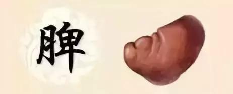 《黃帝內經》肝怕堵、心怕累、脾怕冷究竟該怎麼養五臟？