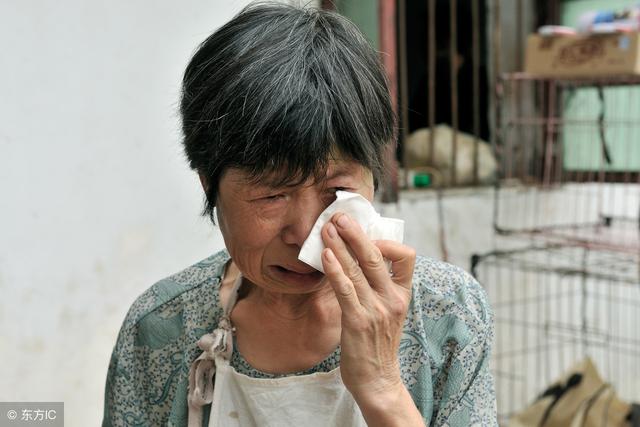 我給婆婆說，下輩子我願意當她的女兒，婆婆大罵我，老公要離婚