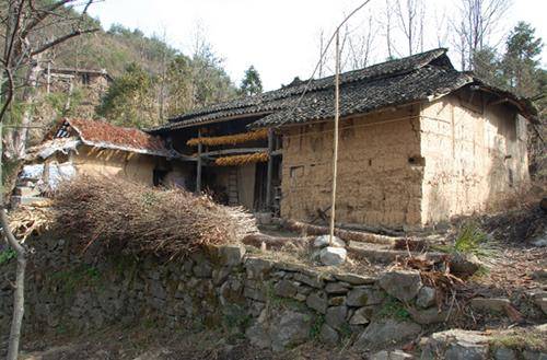 得知我是領養的孩子後我住進了旅館，爸媽帶我回家怒吼著讓弟弟滾