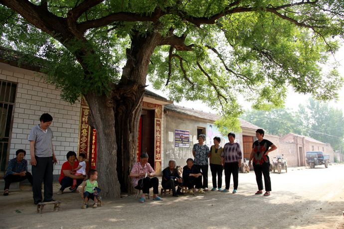兒子不幸因病去世，父親在門口種下槐樹，十年後卻救了五條人命