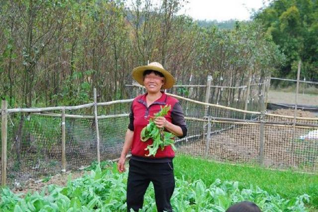 婆婆街頭擺攤被人砸爛，我跟老公上門討說法，見了面老公突然跪下