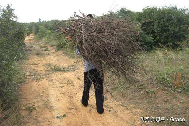老婦砍柴，抱回一男嬰，十年後生病沒錢治，男童說了三字！
