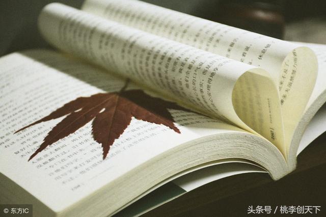 孩子問「我為什麼要讀書」，聰明家長回這4句話，讓子女受益一生