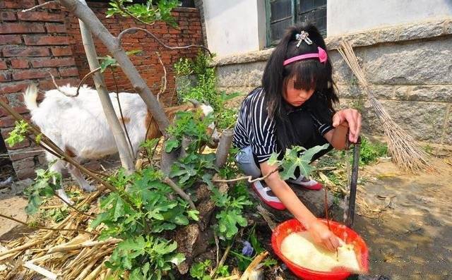 沒按時做飯被婆婆打，老公一巴掌把我扇地上，站起身後，全家傻住