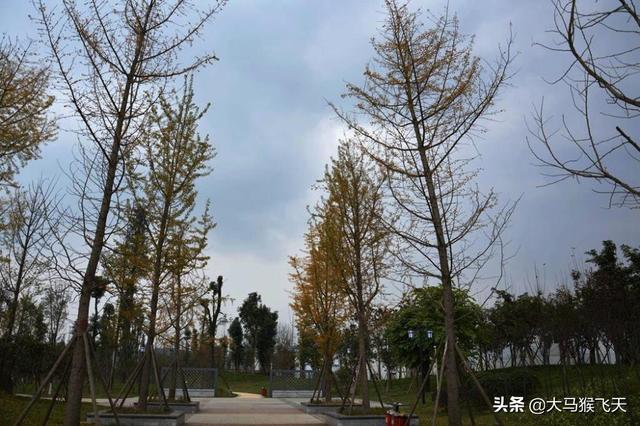 兒子接我進城去享福，每天吃著兒媳炒的青菜，讓我淚流滿面」