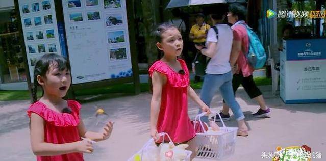 蔡少芬香港住宅曝光，網友感慨：怎麼住到這樣的房子啊？和想像中差距有點大