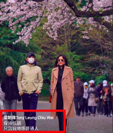 梁朝偉疑對鄭秀文許志安事件表態，五句話點評盡顯成熟男人本色！