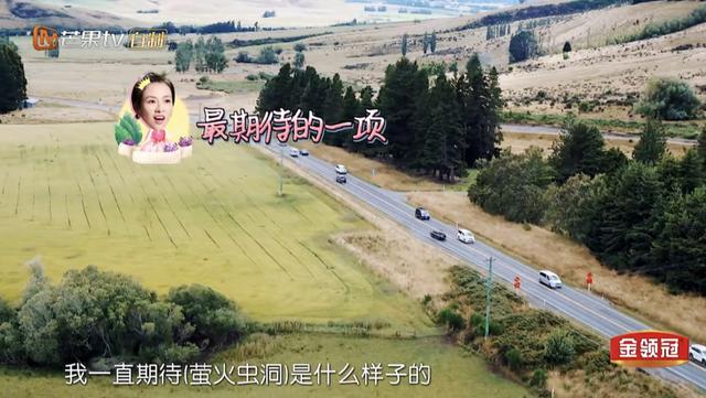 《妻旅2》膽大袁詠儀遇這事「慫」了，網友卻贊：靚靚好可愛！