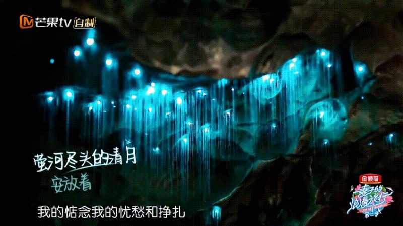 《妻旅2》膽大袁詠儀遇這事「慫」了，網友卻贊：靚靚好可愛！