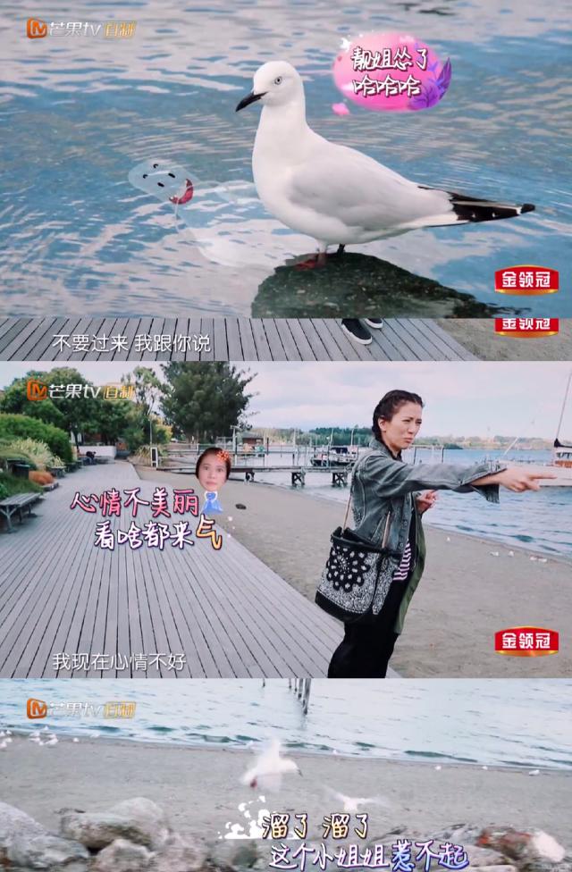 《妻旅2》膽大袁詠儀遇這事「慫」了，網友卻贊：靚靚好可愛！