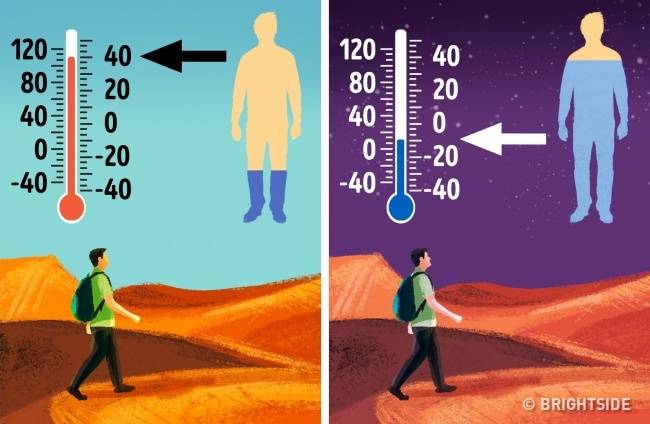 14個多多少少一定得懂一點的「野外求生技巧」！~~~