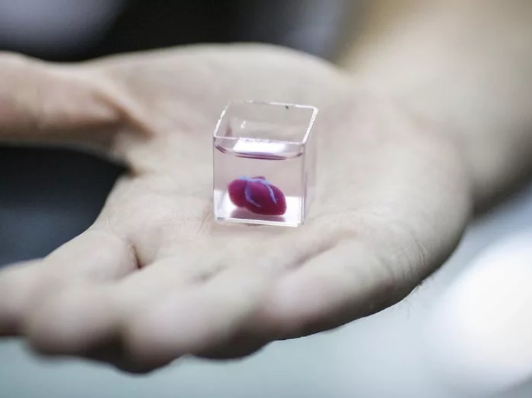 未來不用等移植！　全球第一顆3D列印「人工心臟」問世 