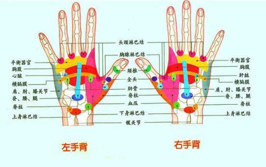 五指健身術：多動手多健康