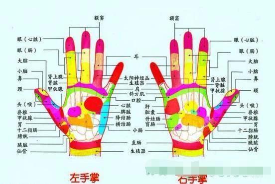 五指健身術：多動手多健康