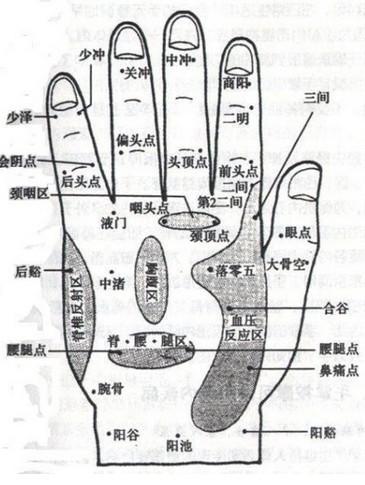 五指健身術：多動手多健康