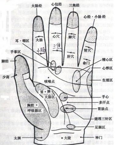 五指健身術：多動手多健康