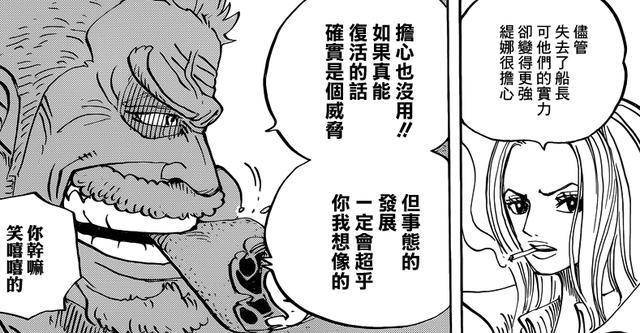 海賊王里神秘莫測的三個前輩高手，早已退役但實力成謎！