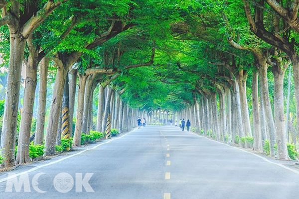療癒放空超紓壓！全台六大自然景點洗滌心靈