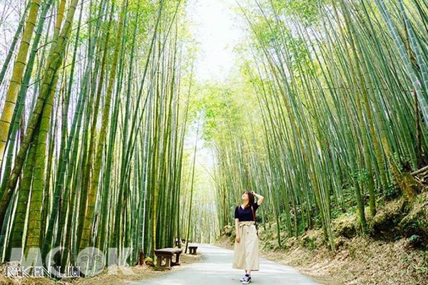 療癒放空超紓壓！全台六大自然景點洗滌心靈