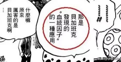 海賊王：詳細解析血統因子，它的核心在於生命的複製和改造