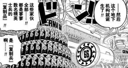 海賊王：詳細解析血統因子，它的核心在於生命的複製和改造