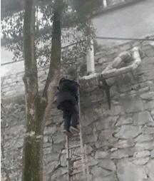 店裡突然失火，主人為了救貓咪，竟獨自闖進大火中，結局讓人感動 