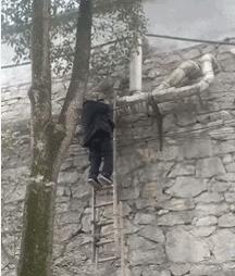 店裡突然失火，主人為了救貓咪，竟獨自闖進大火中，結局讓人感動 
