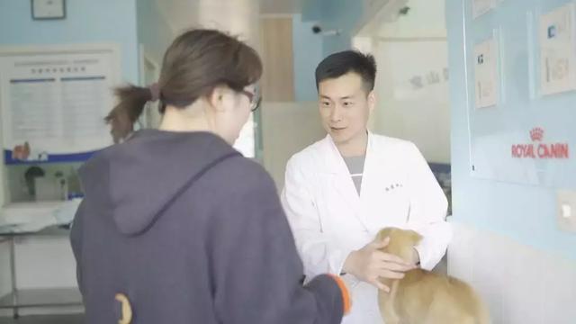 狗子凶不凶，去一趟醫院就知道了